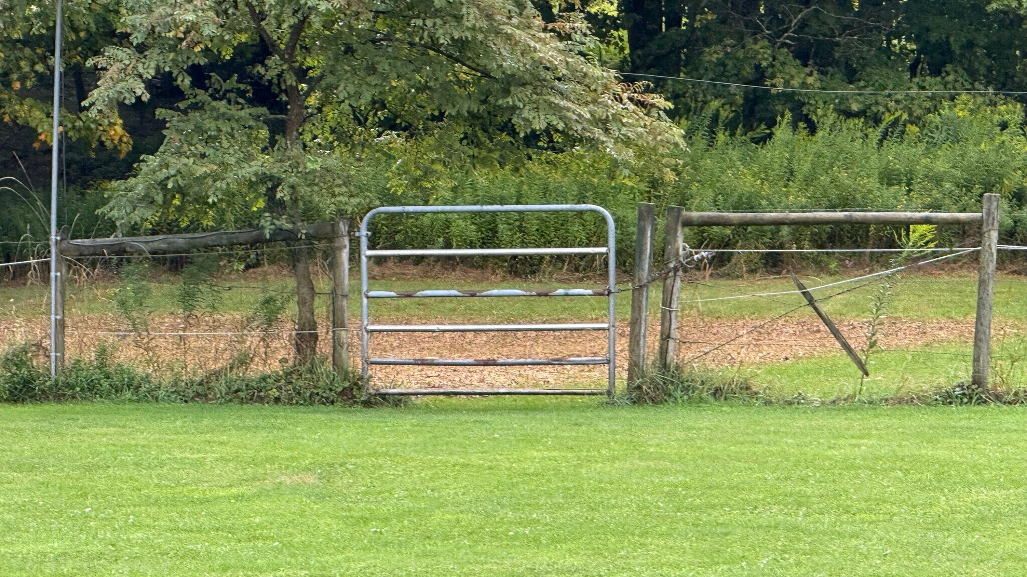 Electric fencing by the barn for livestock - 600 Lynda Maria Ln