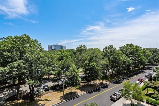 Building Photo - 33 Pond Ave