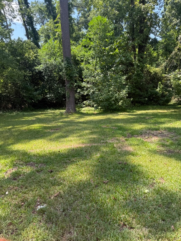 Building Photo - 4329 Brookridge Dr