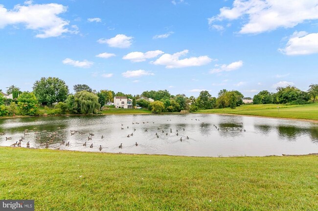 Building Photo - 689 Clearview Ave