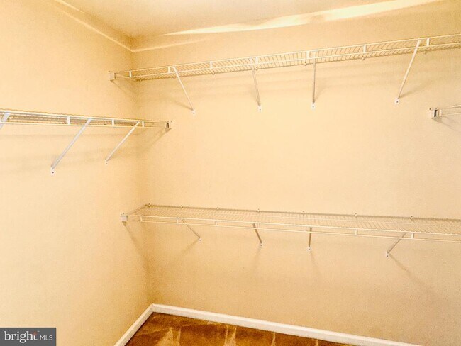 Building Photo - 42 Fuzzy Tail Dr