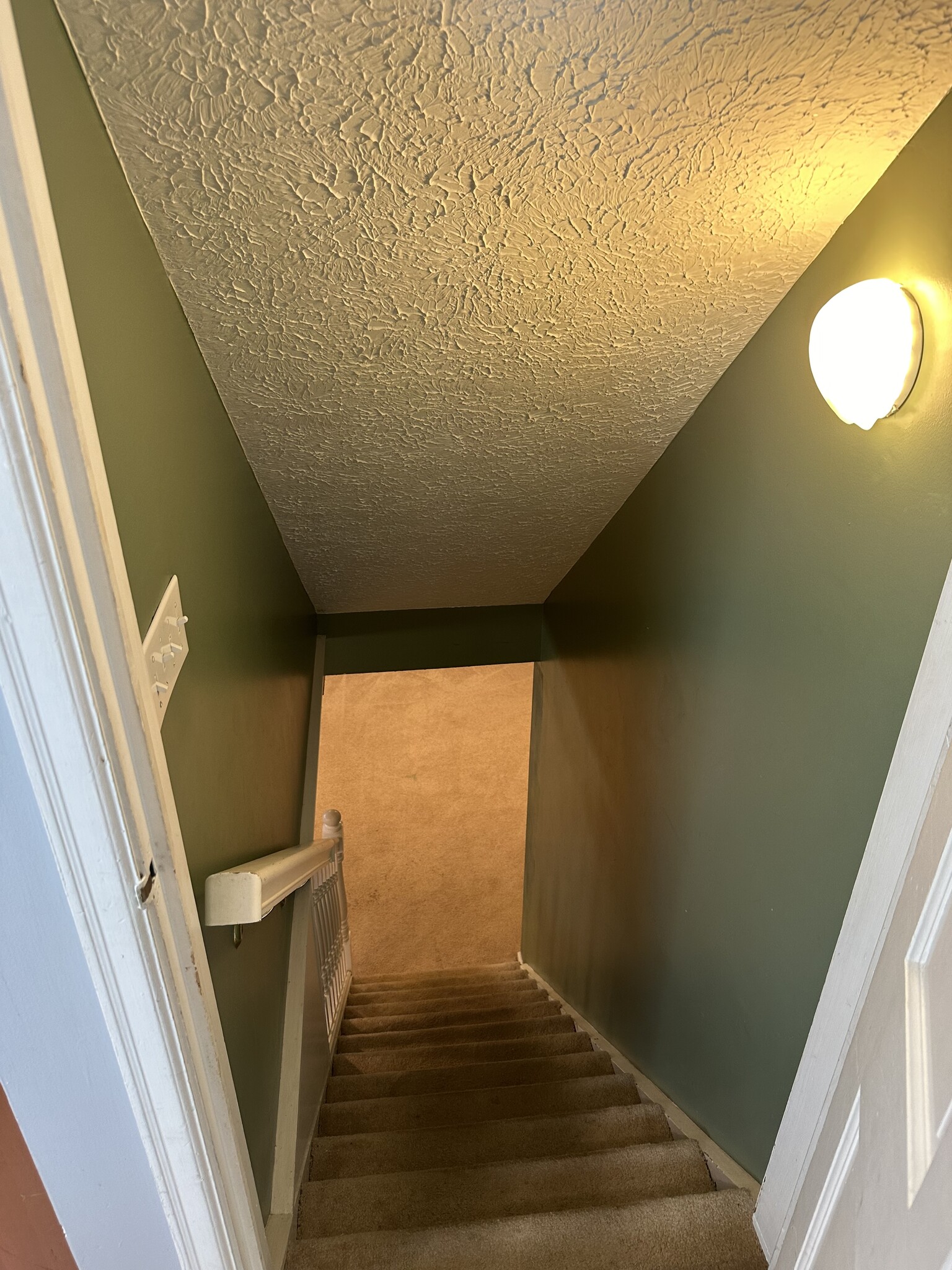 Stairs to basement off the kitchen and family room. - 5101 Boulevard Pl