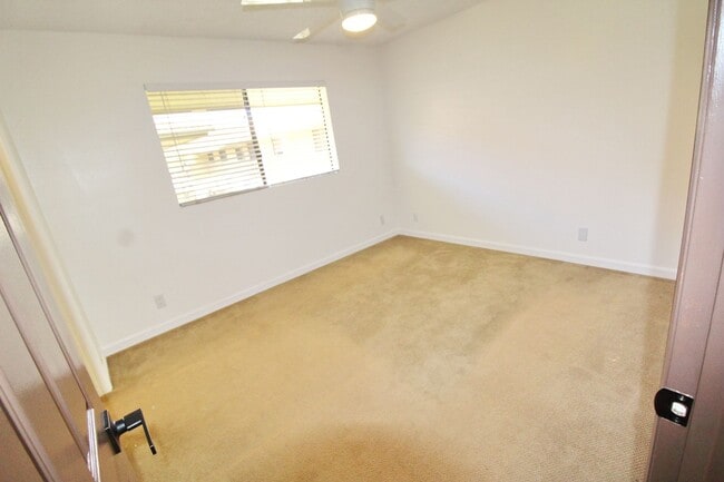 Building Photo - Cat-Friendly Upgraded Unit Located A Half ...