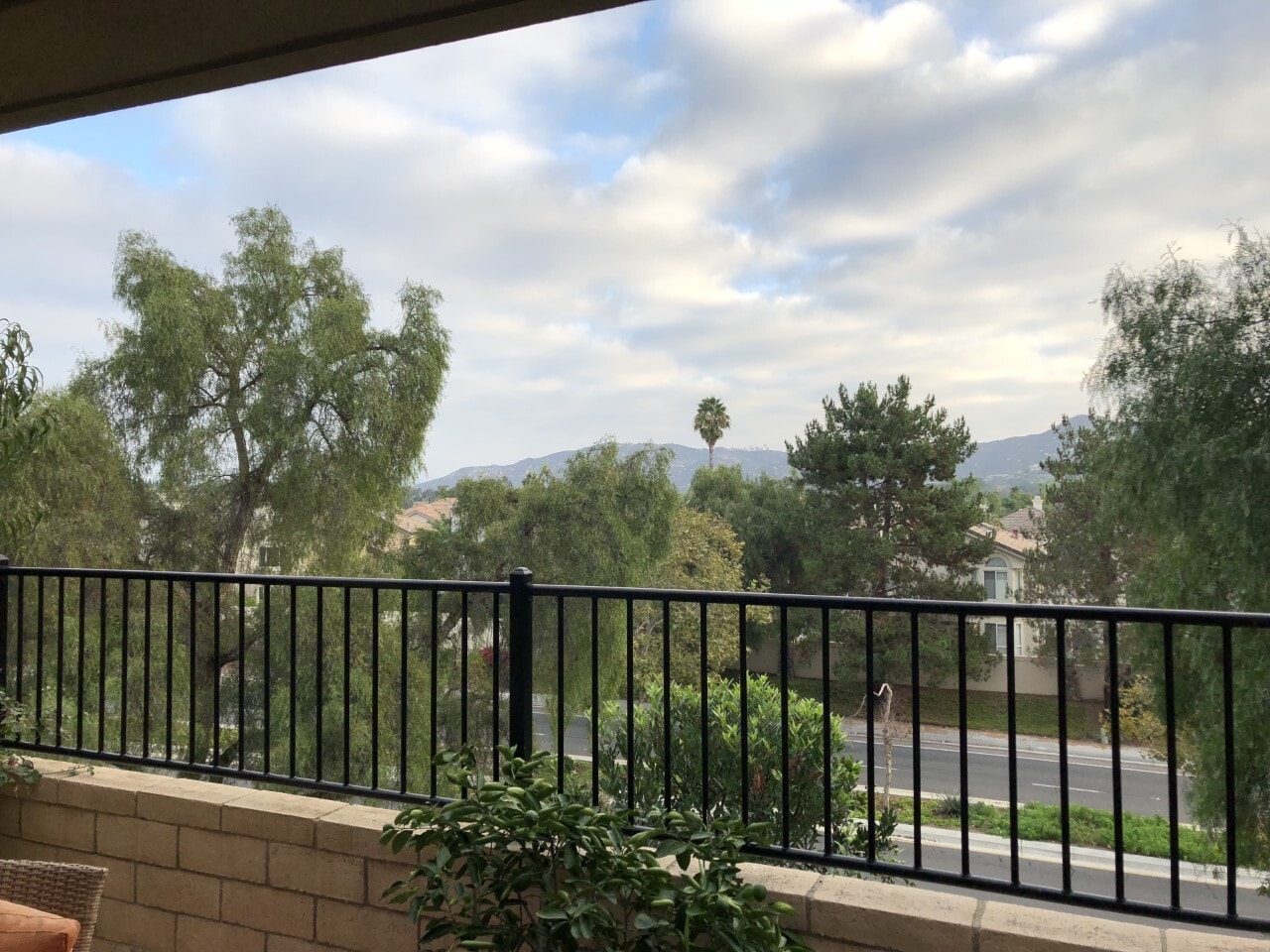 Backyard View - 14103 Brent Wilsey Pl