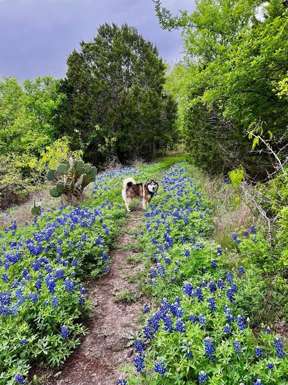 Building Photo - 10629 Sunday Dr