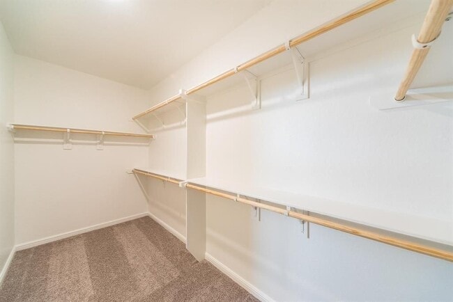 Building Photo - 18206 Alora Springs Trace