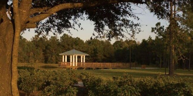 Building Photo - Spacious Townhome in Oakleaf Plantation