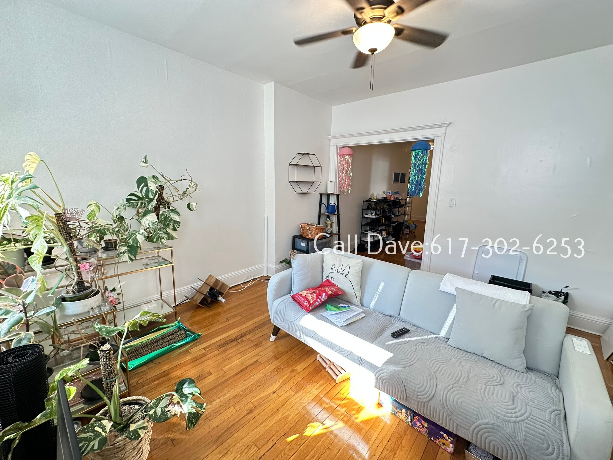 Building Photo - 7 Carol Ave