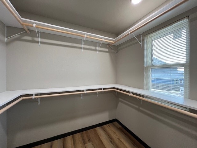 Building Photo - 3740 Sako Ct