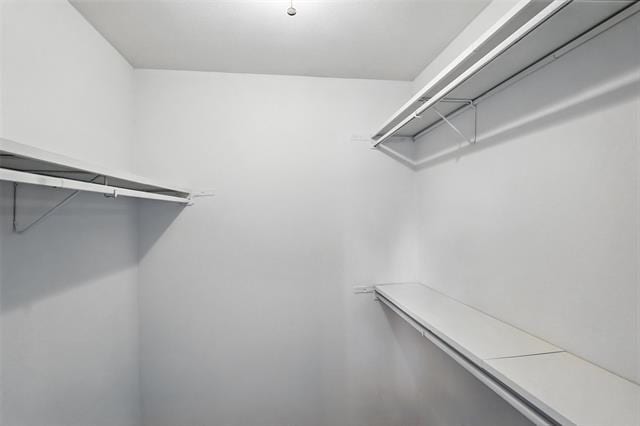 Building Photo - 4613 Tarry Dr