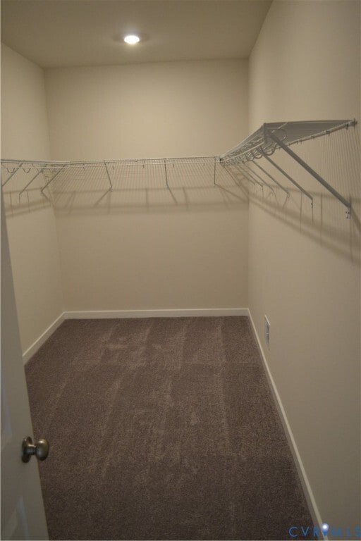 Building Photo - 8513 Payter Ct