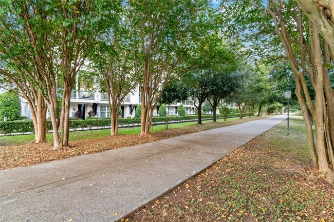 Building Photo - 808 Paige St