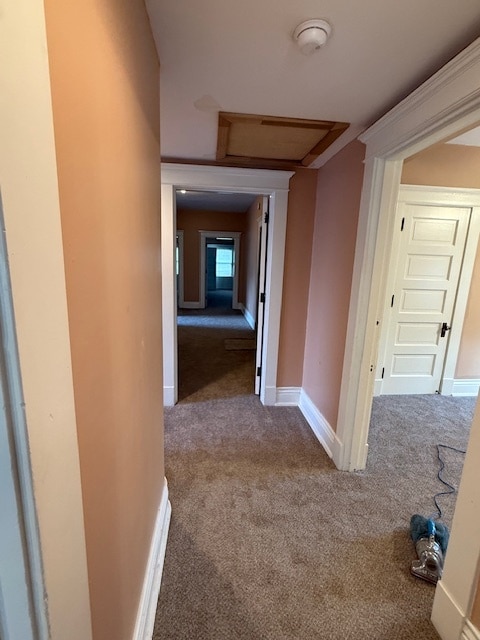 Hallway - 1458 S 3rd St