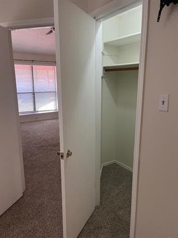 Building Photo - 2420 Dalewood Ln