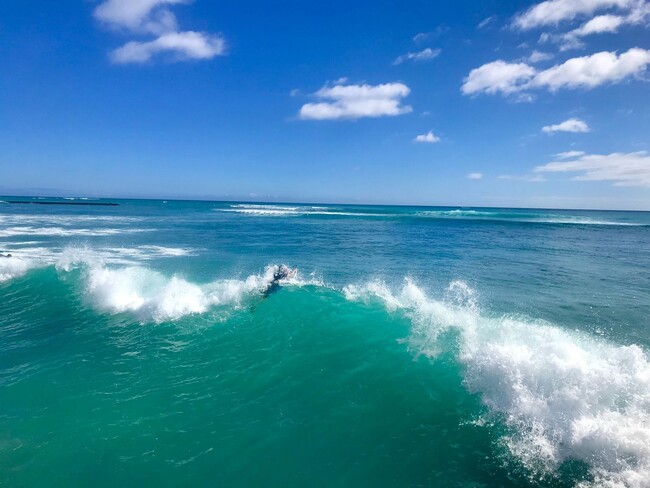 Building Photo - BEACH - WORK - PLAY - WIFI - LANAI - FULLY...