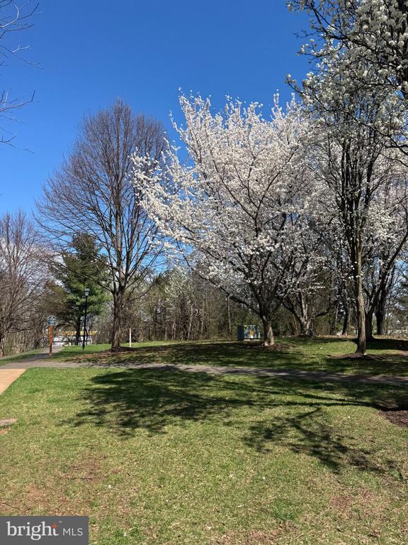 Building Photo - 10314 Butternut Cir