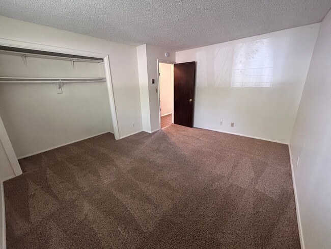 Building Photo - 1210 Avenida Del Sol