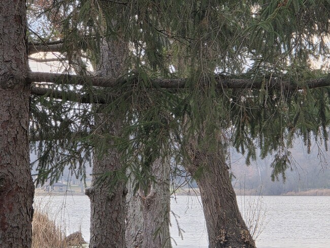 Building Photo - 26229 93rd St