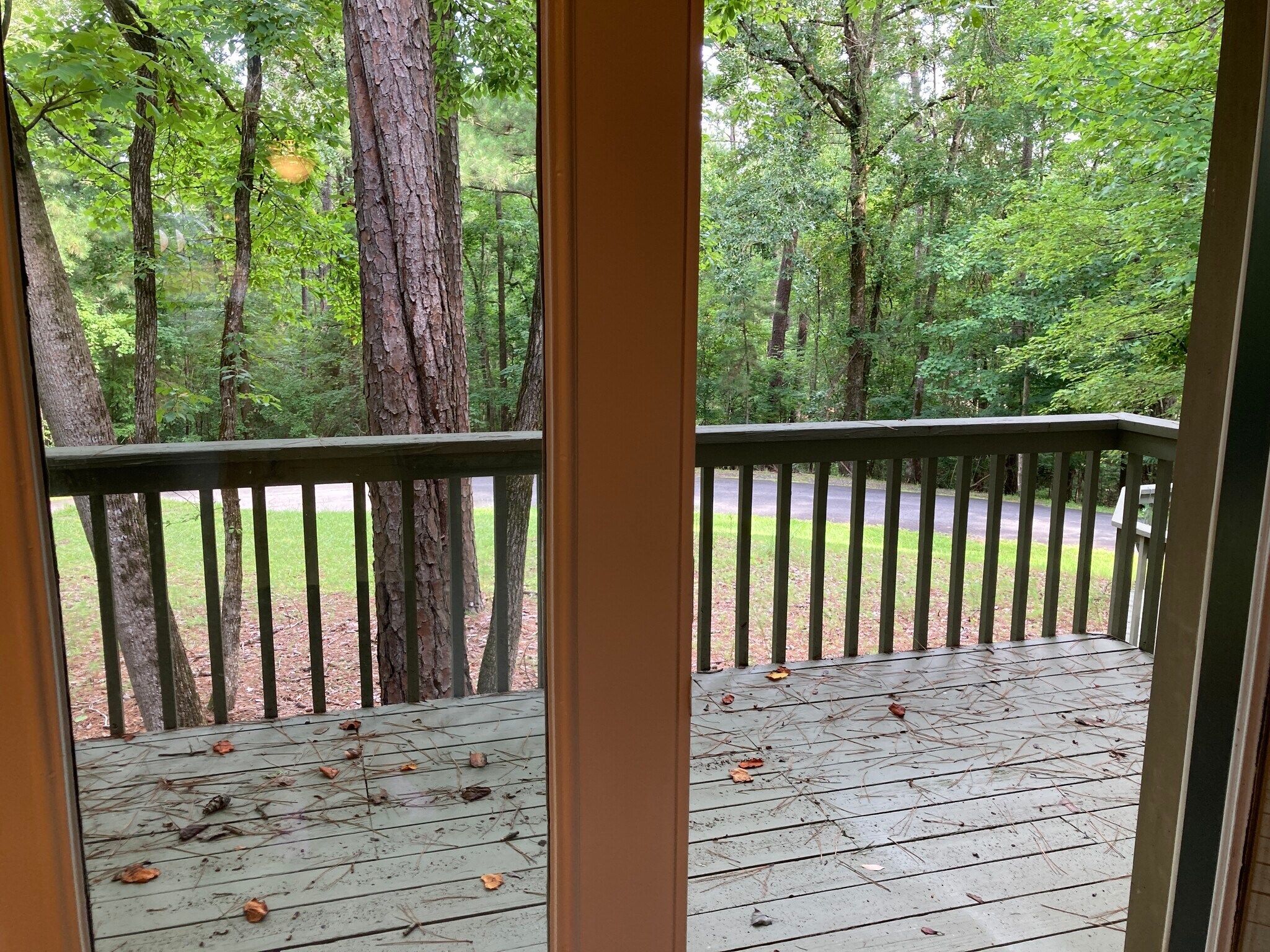 Beautiful back deck. Very peaceful and quiet with lots of great old growth trees. - 185 Eagle Peak Cir