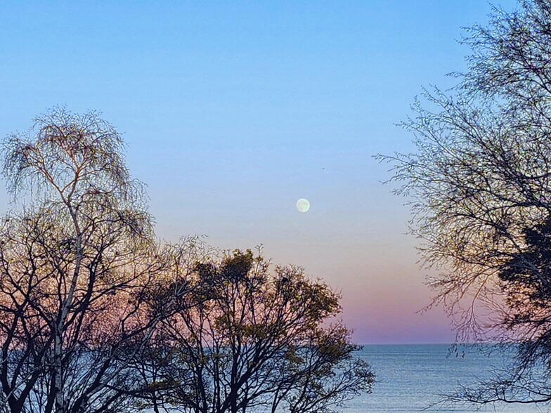 Lake Views - 1614 Michigan Blvd