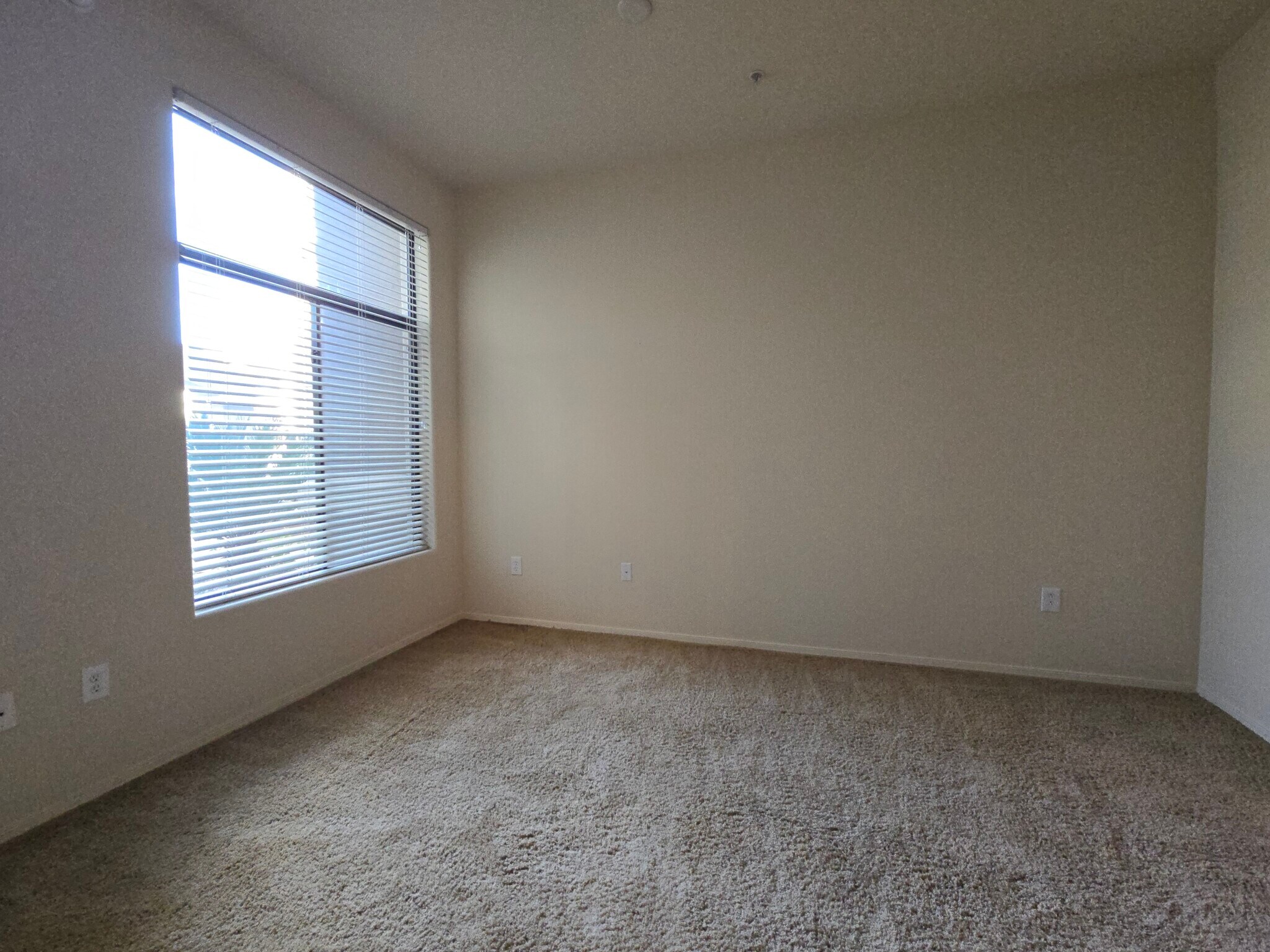 Building Photo - 11640 N Tatum Blvd