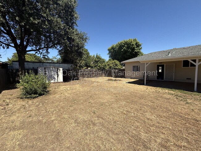 Building Photo - 172 Connors Ave