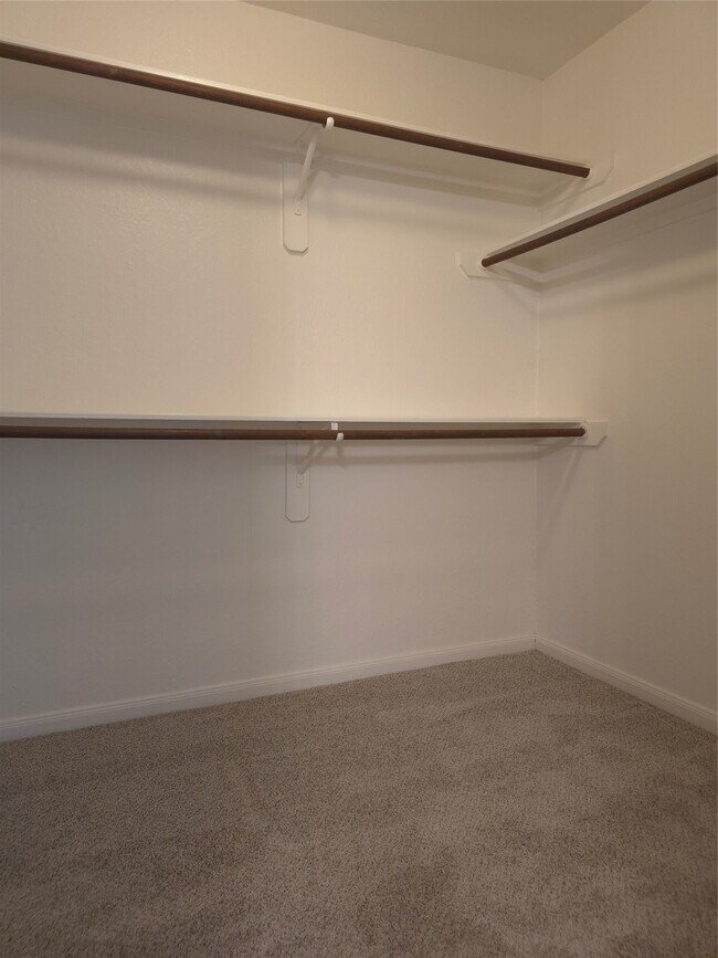 Building Photo - 11114 Opatrny Meadows Ln