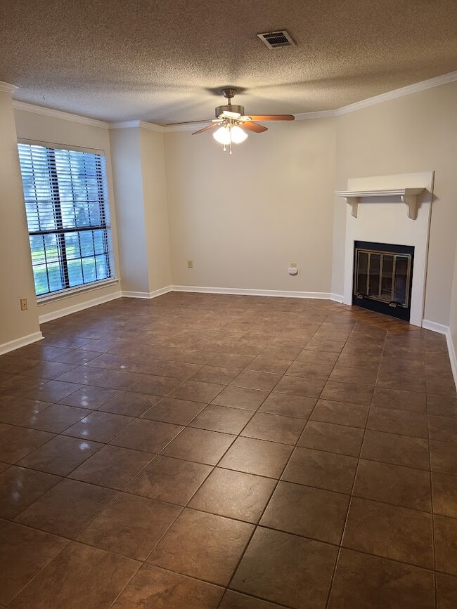 Living Room with Fireplace - 12435 Coursey Blvd