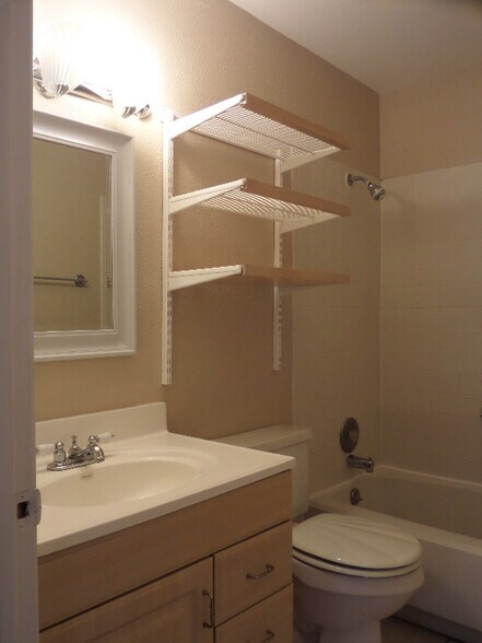 Master Bath - 6839 Arbor Springs Dr