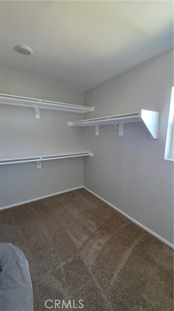 Building Photo - 10546 Pampas Ct