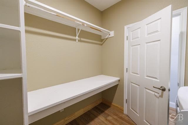 Building Photo - 5302 Bridle Path Ln