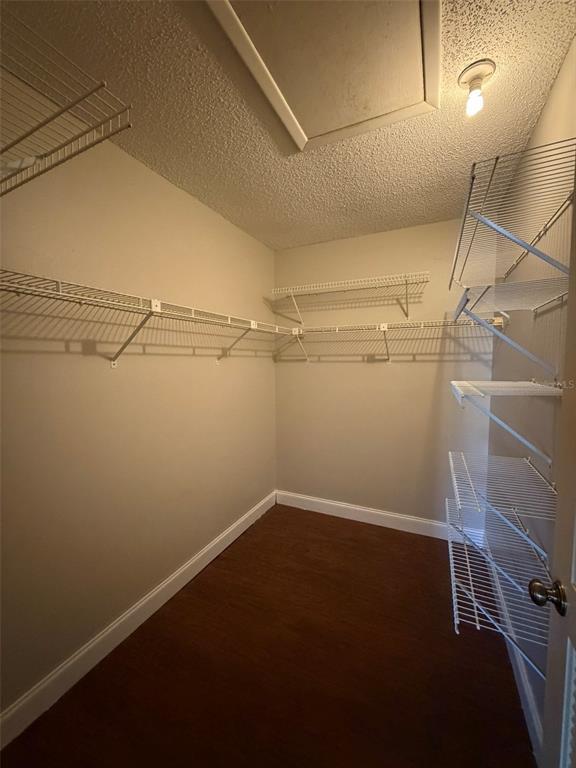 Building Photo - 3505 Tarpon Woods Blvd