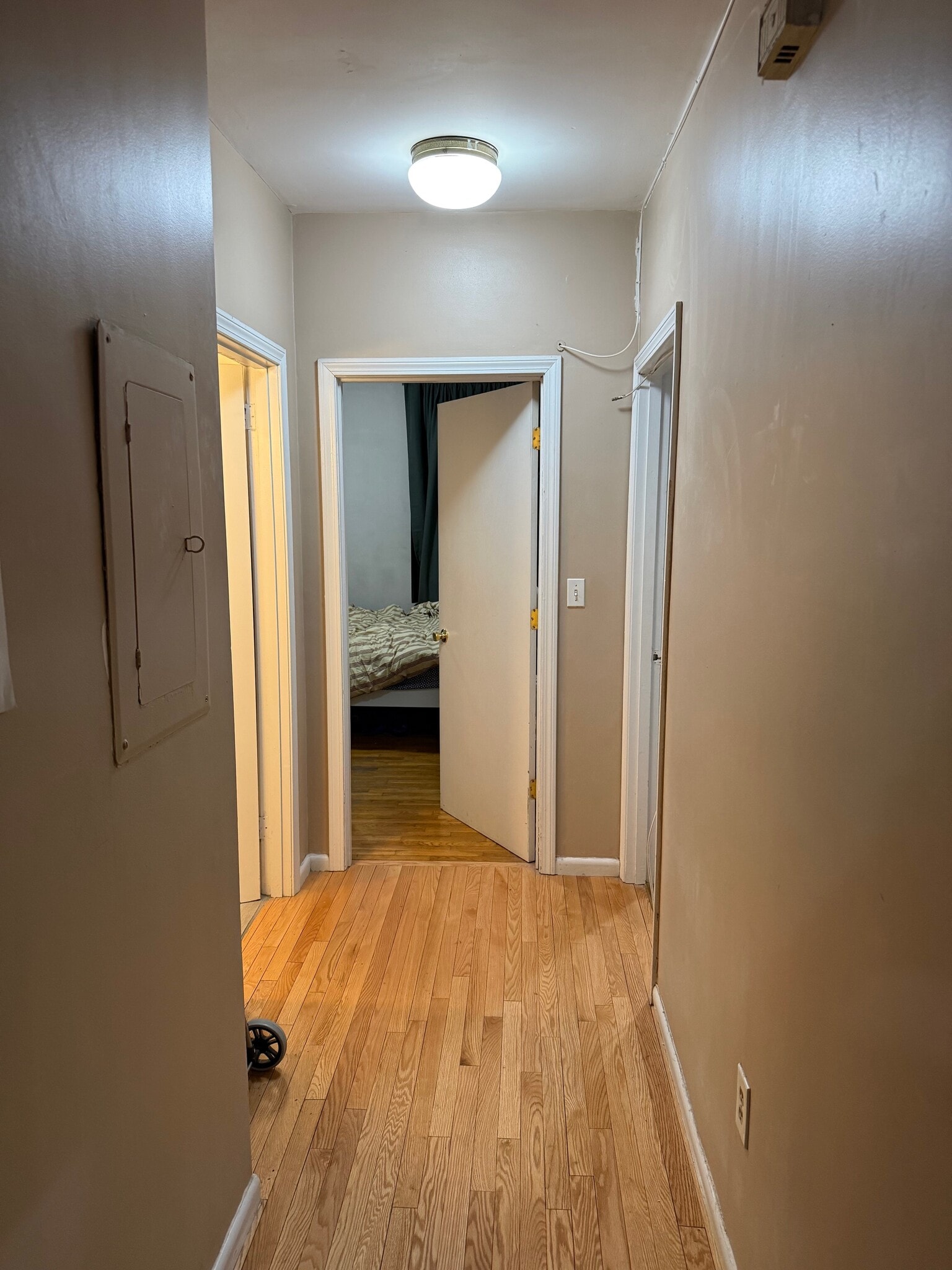 Building Photo - 413 Massachusetts Ave