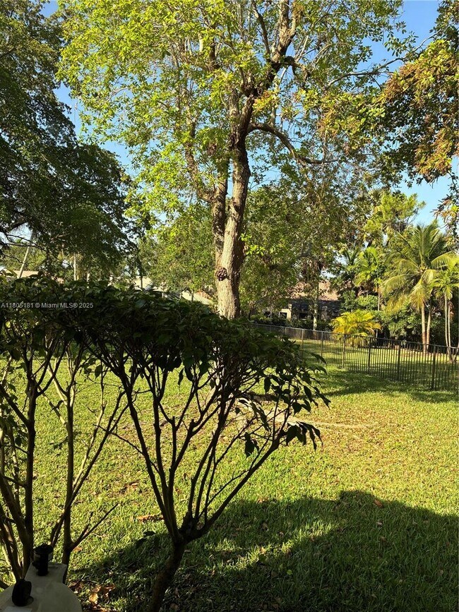 Building Photo - 384 Coconut Cir