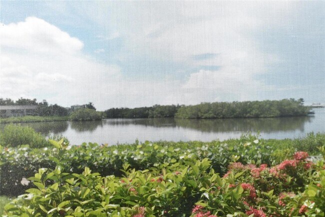 Building Photo - 1520 Pelican Point Dr