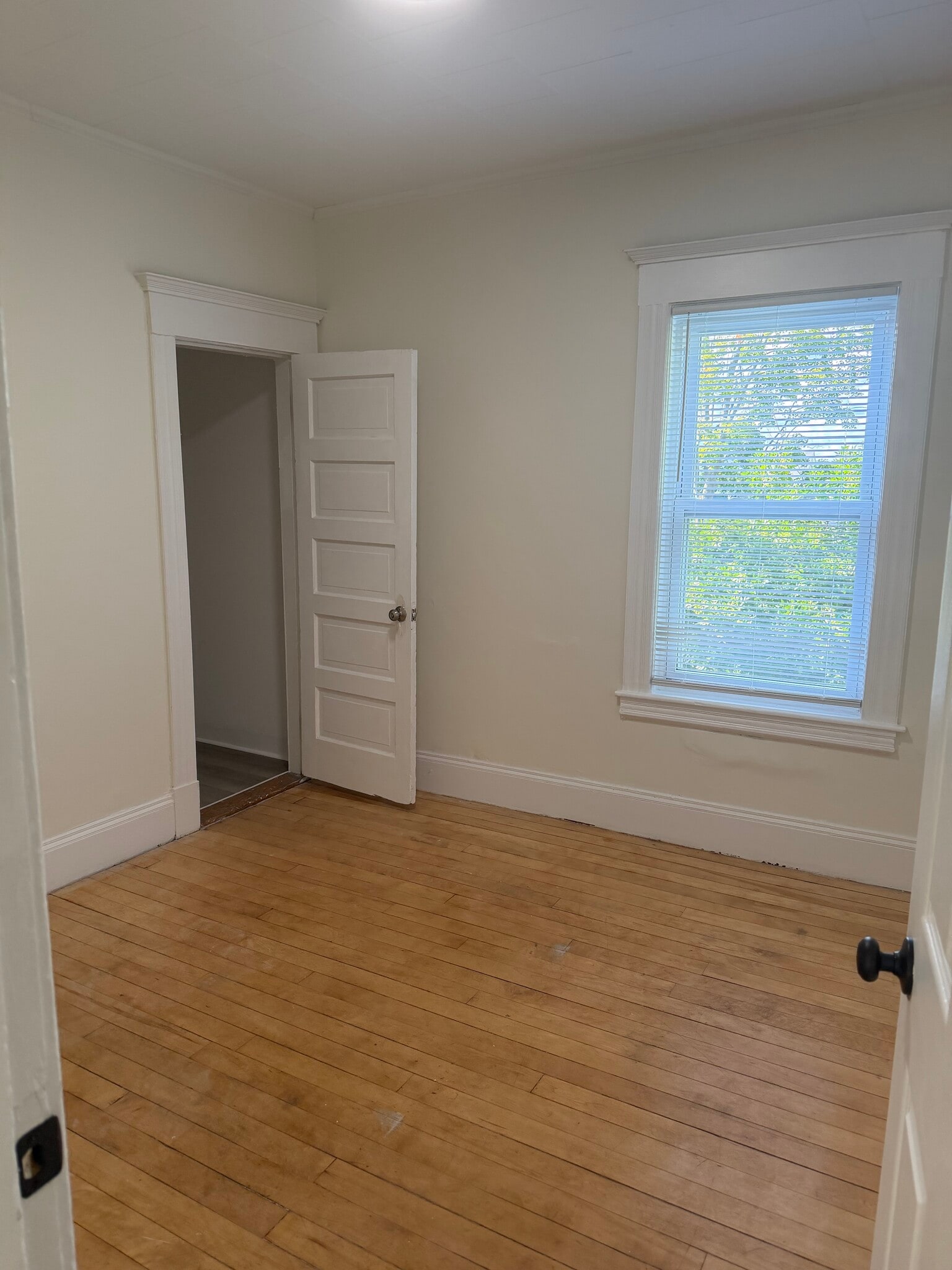Room 2 - 677 Westford St
