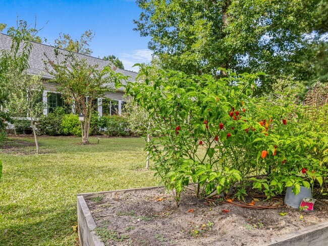 Building Photo - Beauty by the Water!