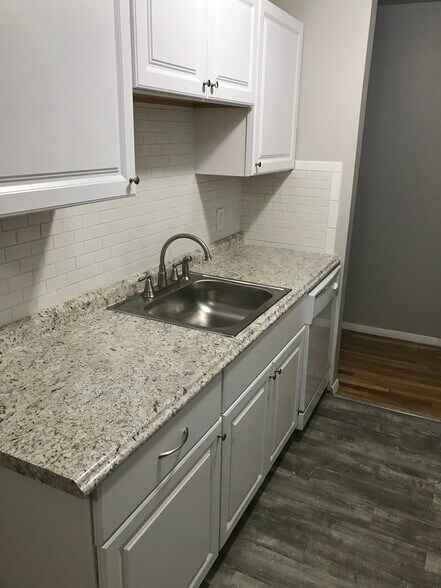 Newly renovated kitchen. New dishwasher. - 205 Regency Park Drive