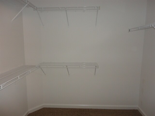 Building Photo - 2007 Turtlebrook Way