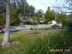 2.Front yard- view from DNRM French doors - 680 Highland St