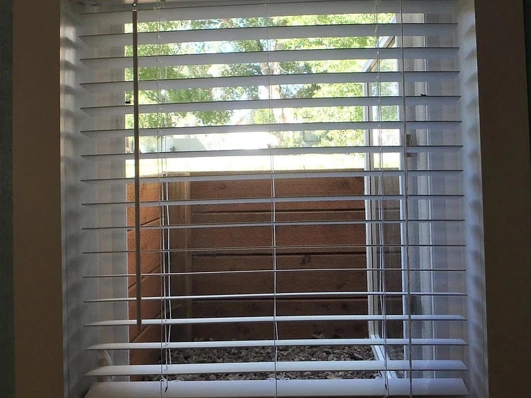 Egress basement window - 446 Center St