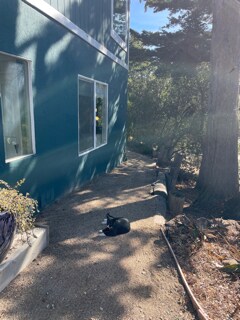 Path to your apartment - 26036 Clover Rd