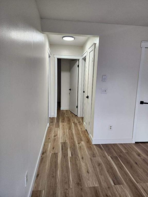 Building Photo - 91-95 Otsego St-Apt E