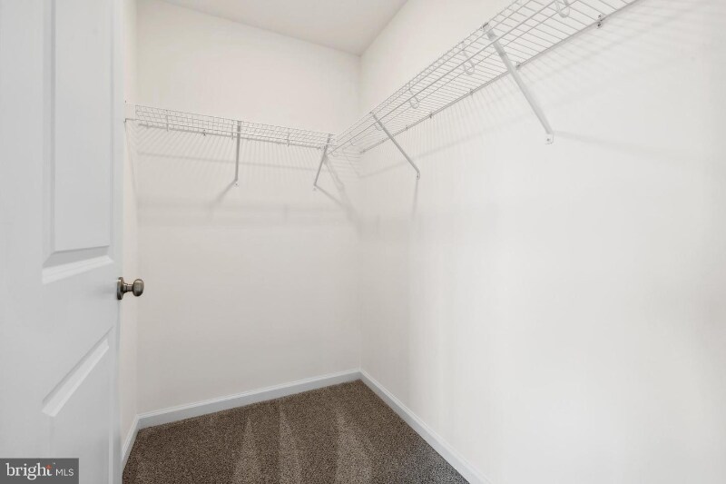 Building Photo - 2668 Brownstone Dr