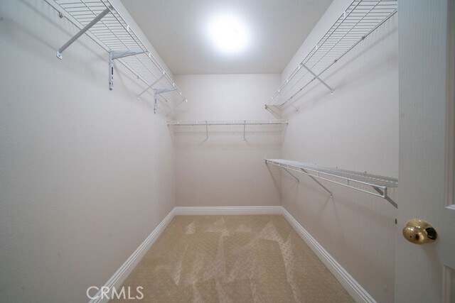 Building Photo - 6 Petria