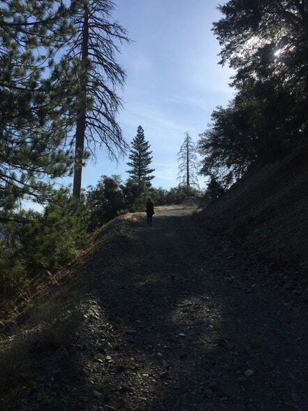 Building Photo - 13992 Irving Ln