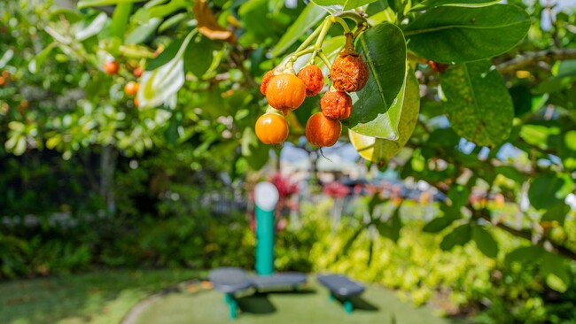 Building Photo - KA MALANAI AT KAILUA - Located in the Hear...