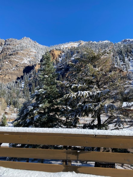 Building Photo - 1472 Oak St