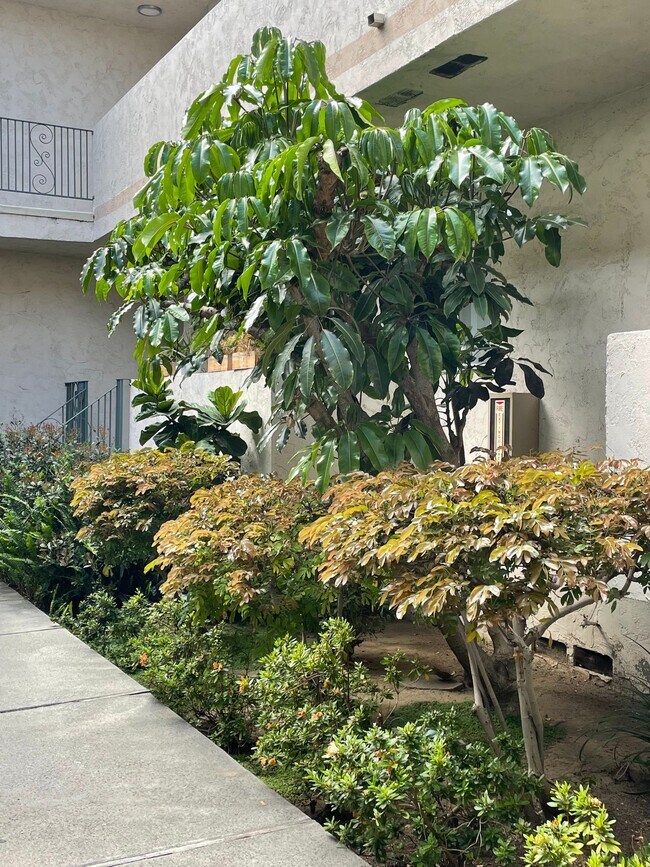 Building Photo - 10970 Palms Blvd