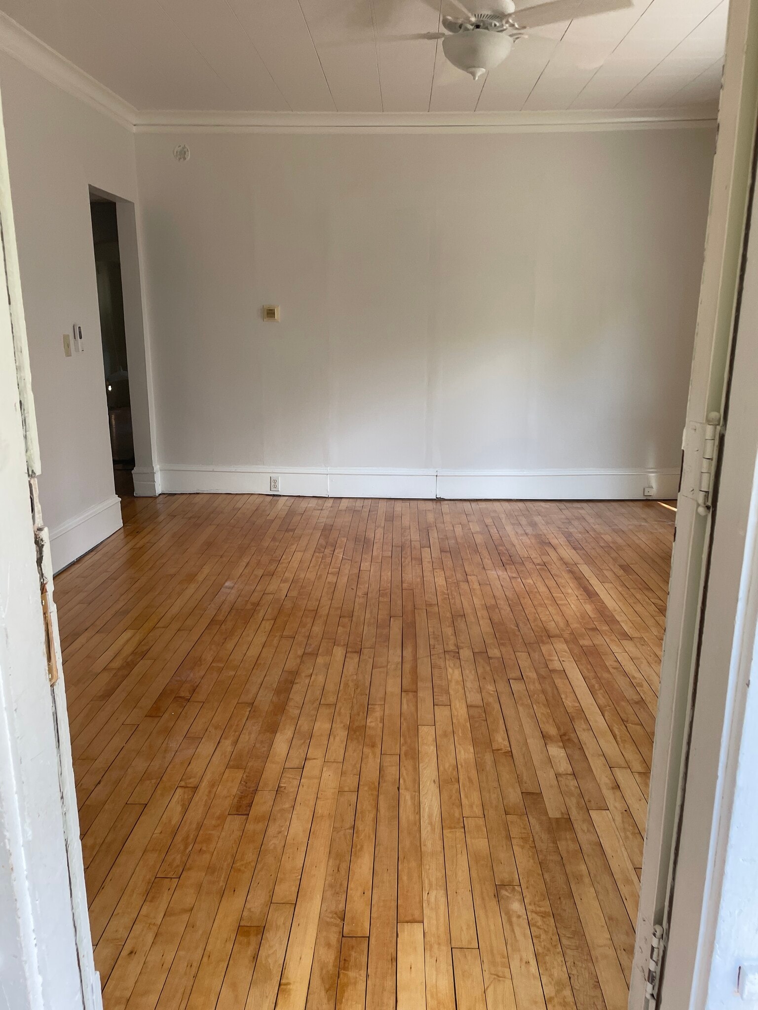 Living Room - 3229 22nd Ave S